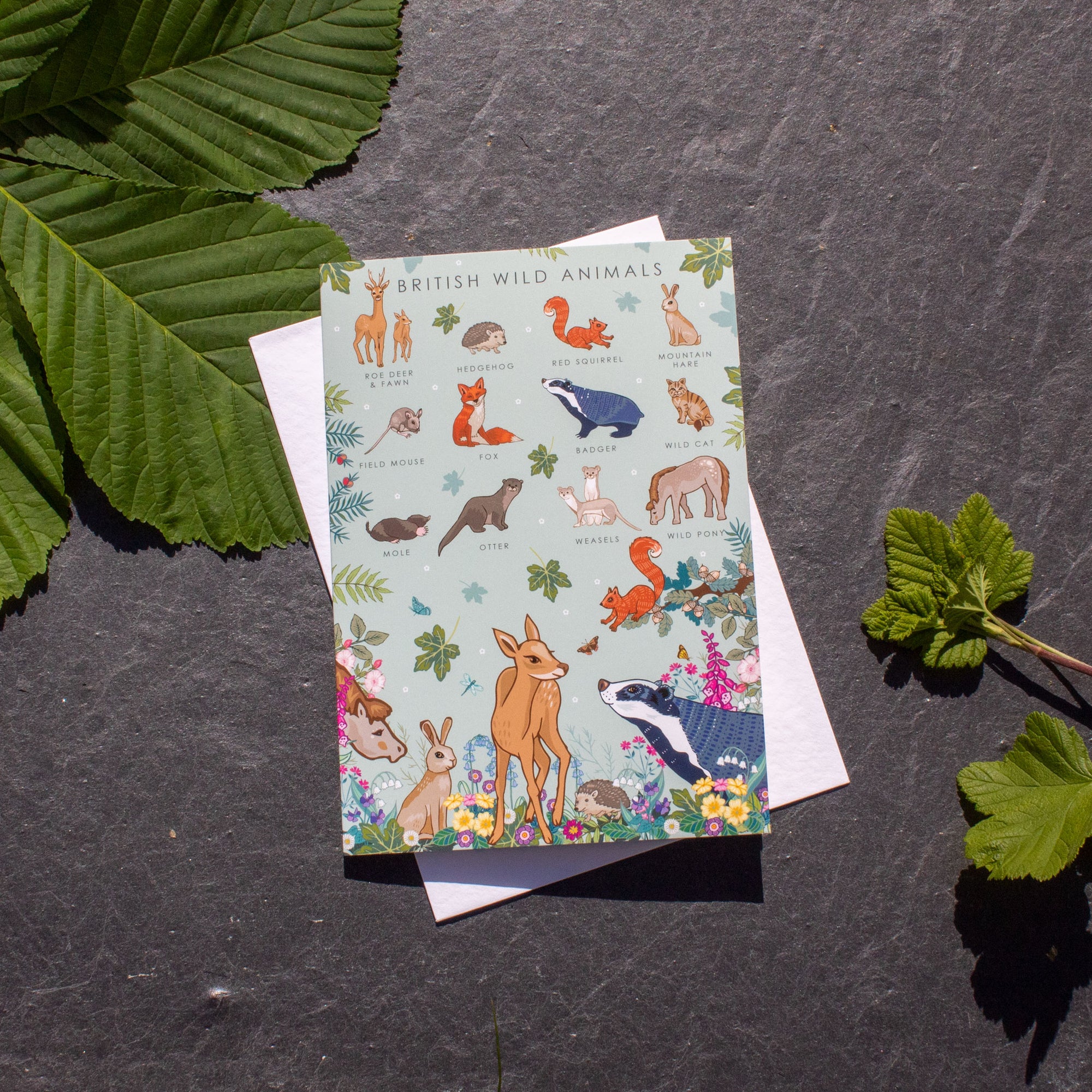 Greetings Card - British Wild Animals | Greetings Card - The Naughty Shrew