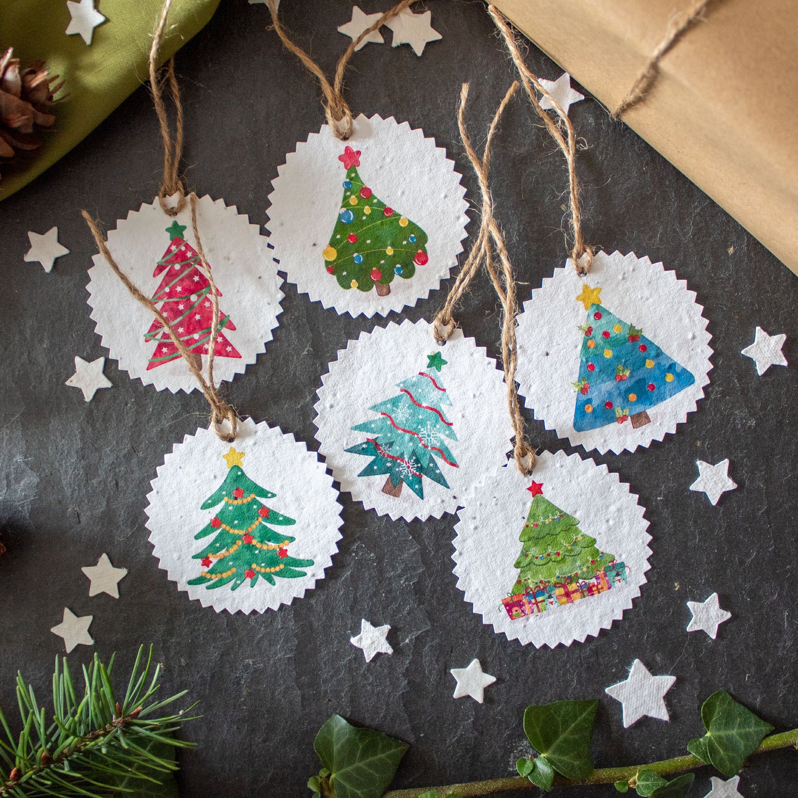 Plantable Gift Tags - Colourful Christmas Trees - Set Of 6 | Gift Tag - The Naughty Shrew