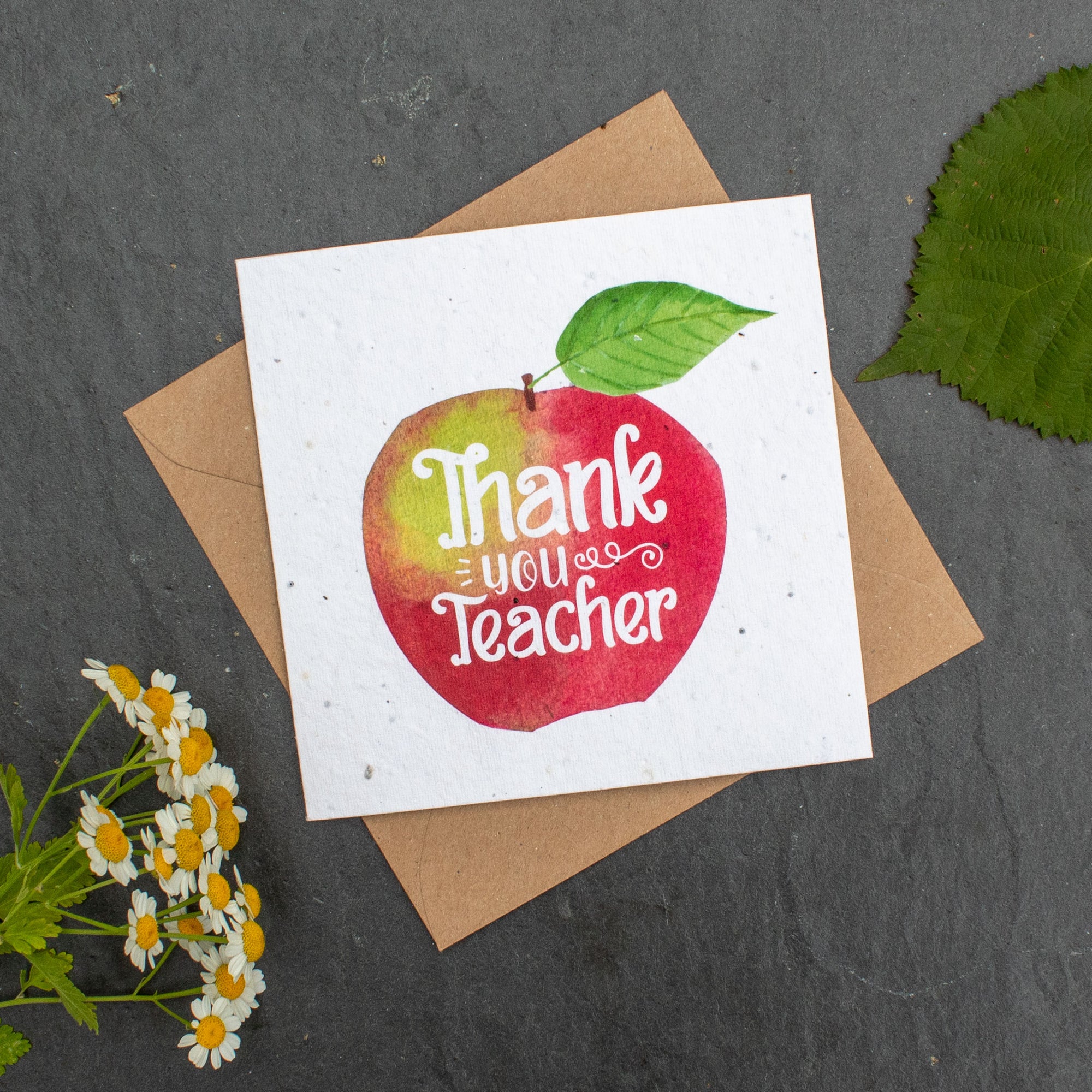 Plantable Card - Thank You Teacher Apple | Greetings Card - The Naughty Shrew