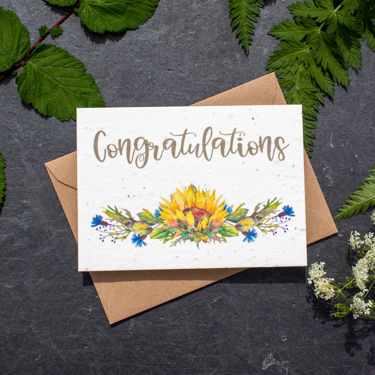 Plantable Greetings Card - Congratulations