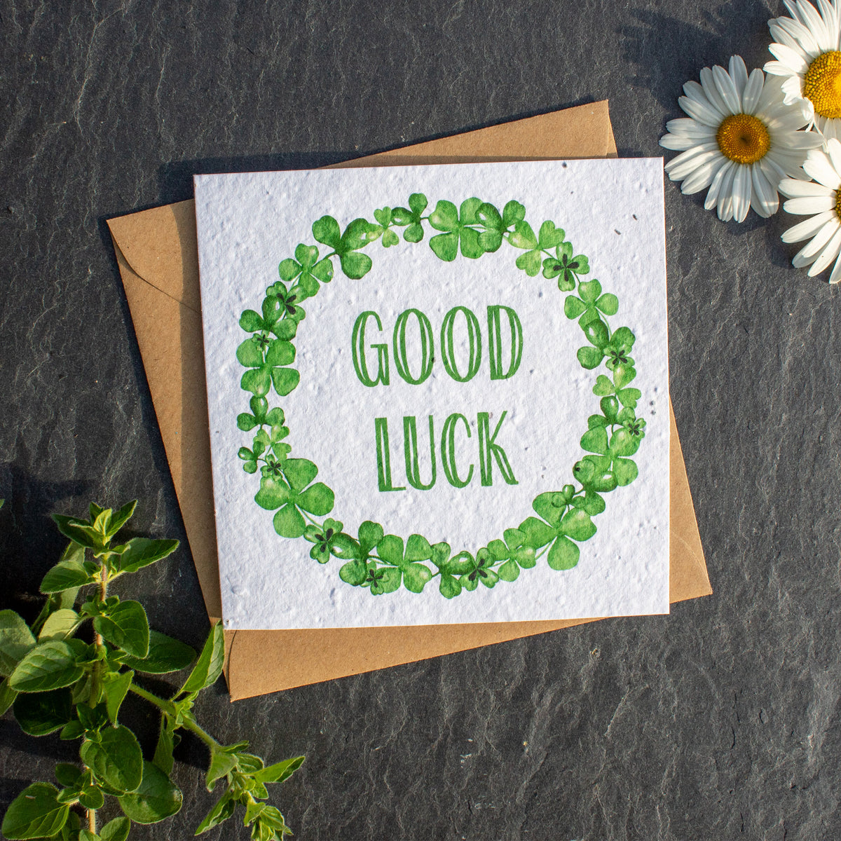 Plantable Greetings Day Card - Good Luck