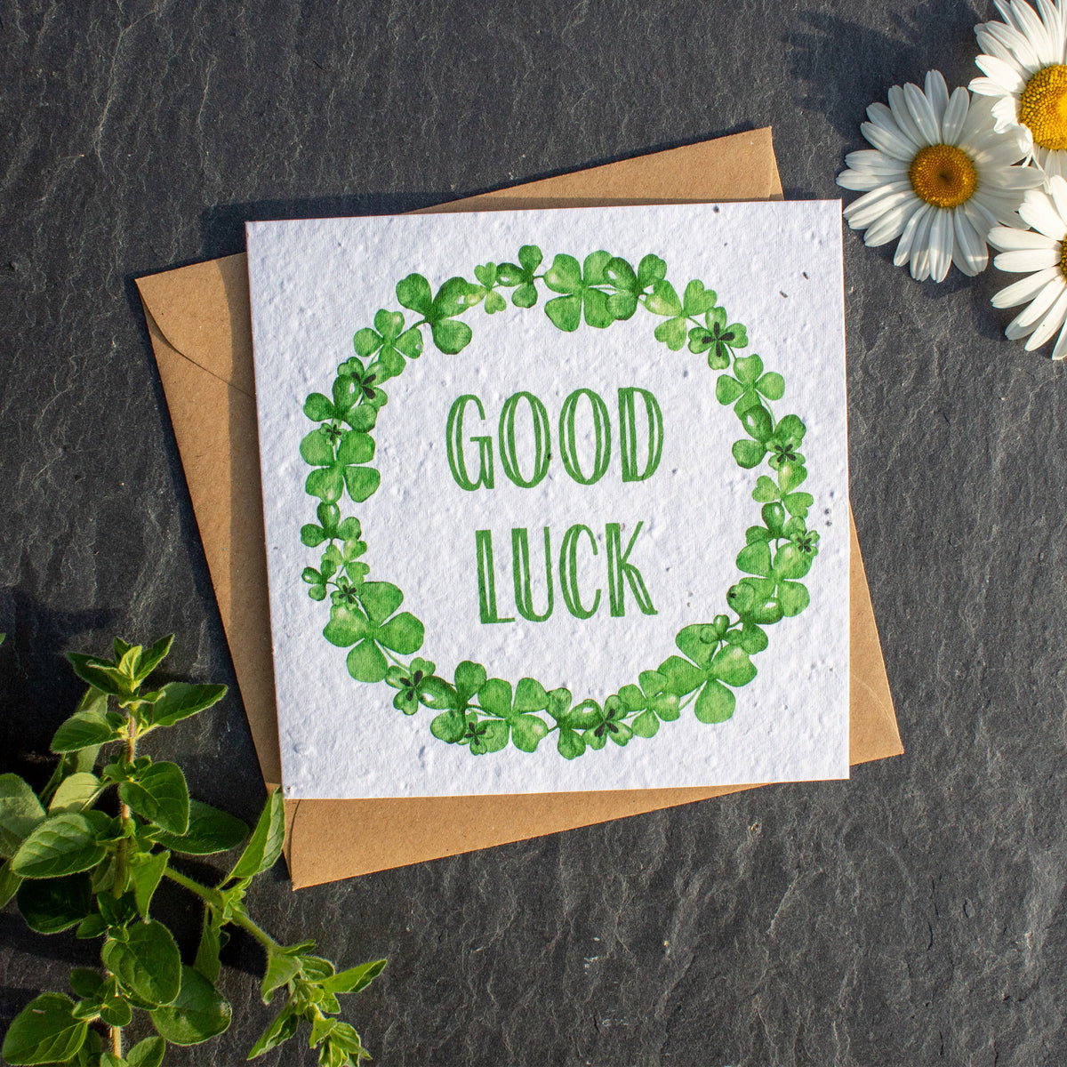 Plantable Greetings Day Card - Good Luck