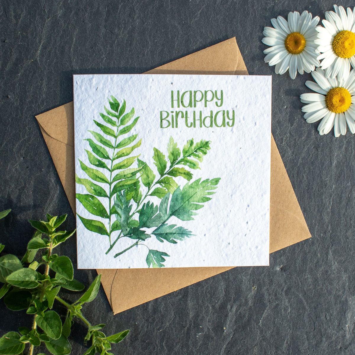 Plantable Birthday Day Card - Green Ferns