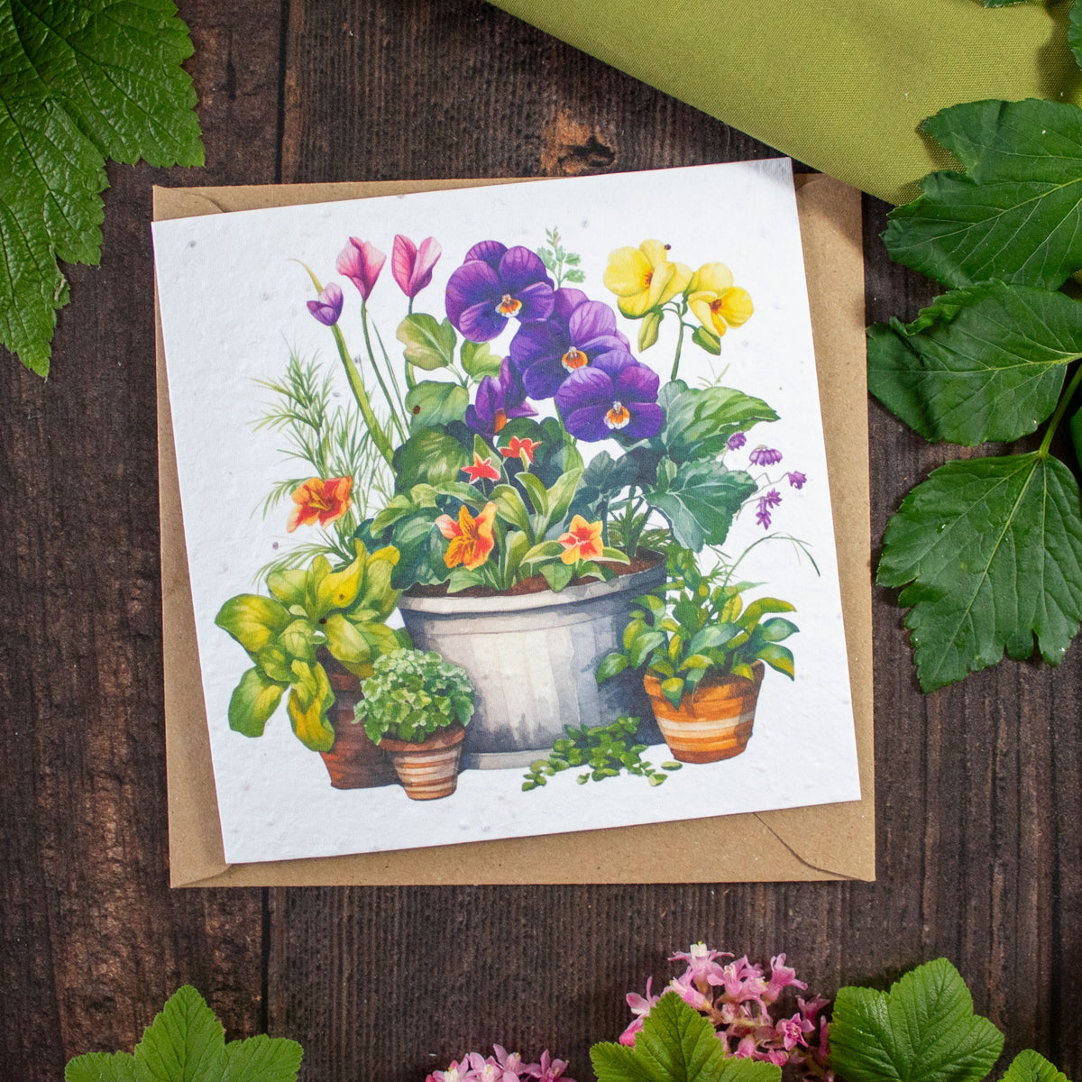 Plantable Greetings Card - Potted Plants