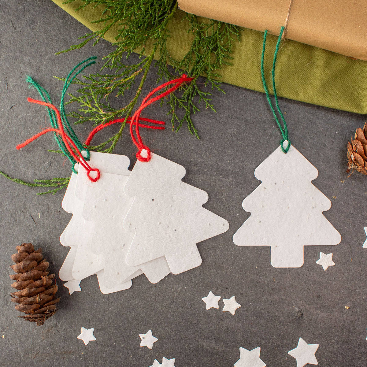 Plantable Gift Tag - Christmas Tree Shape - Set Of 6