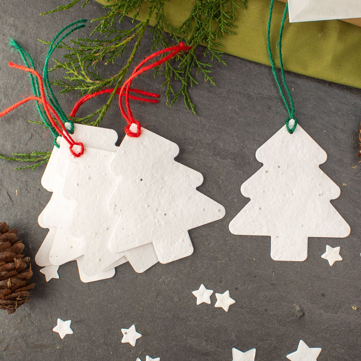 Plantable Gift Tag - Christmas Tree Shape - Set Of 6