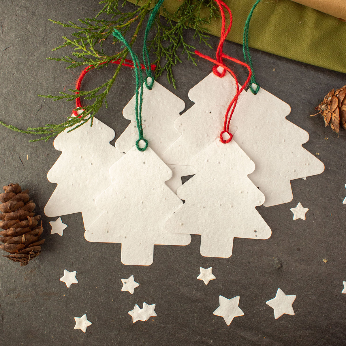Plantable Gift Tag - Christmas Tree Shape - Set Of 6