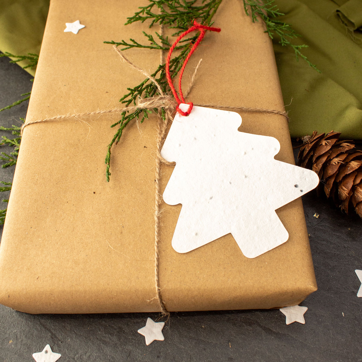 Plantable Gift Tag - Christmas Tree Shape - Set Of 6