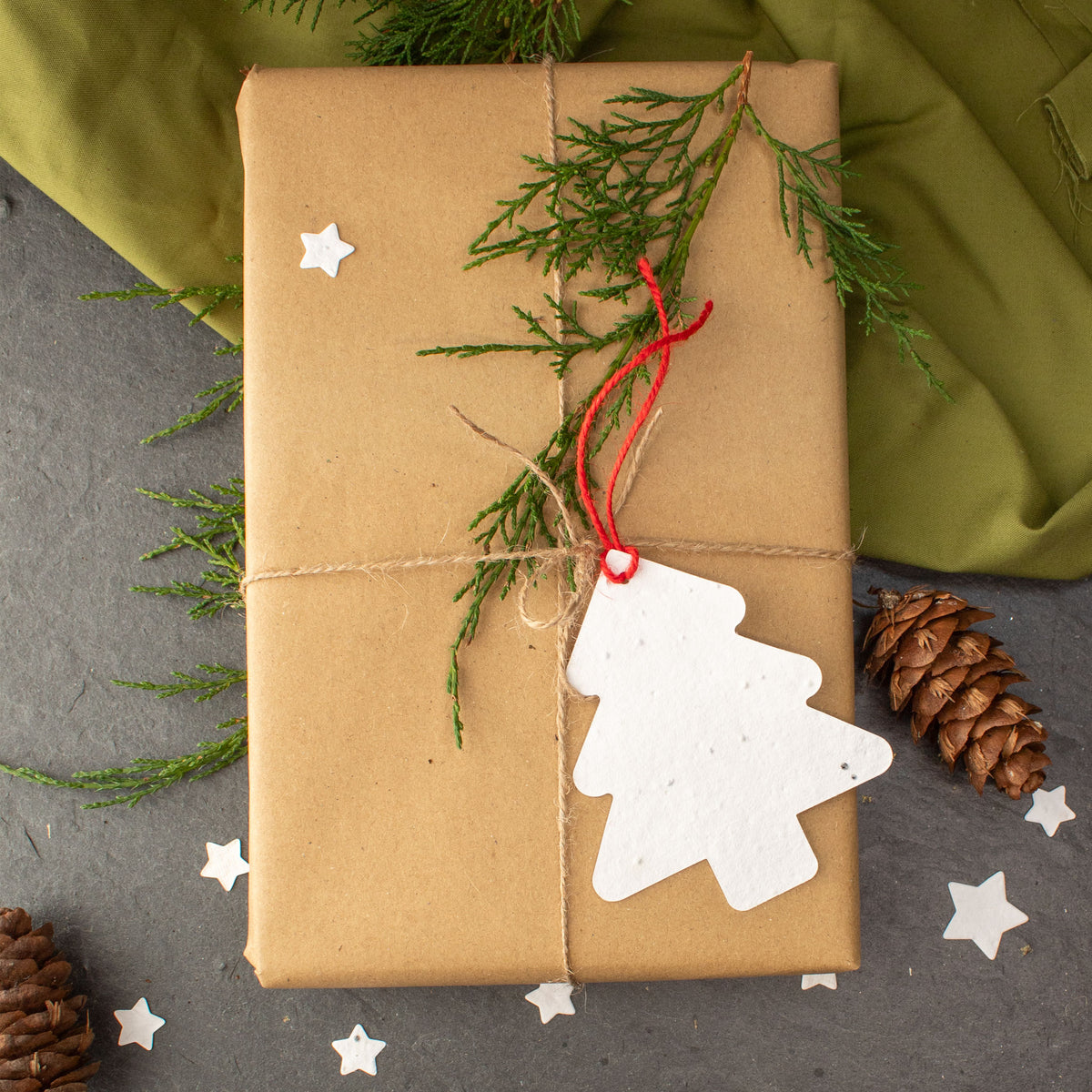 Plantable Gift Tag - Christmas Tree Shape - Set Of 6