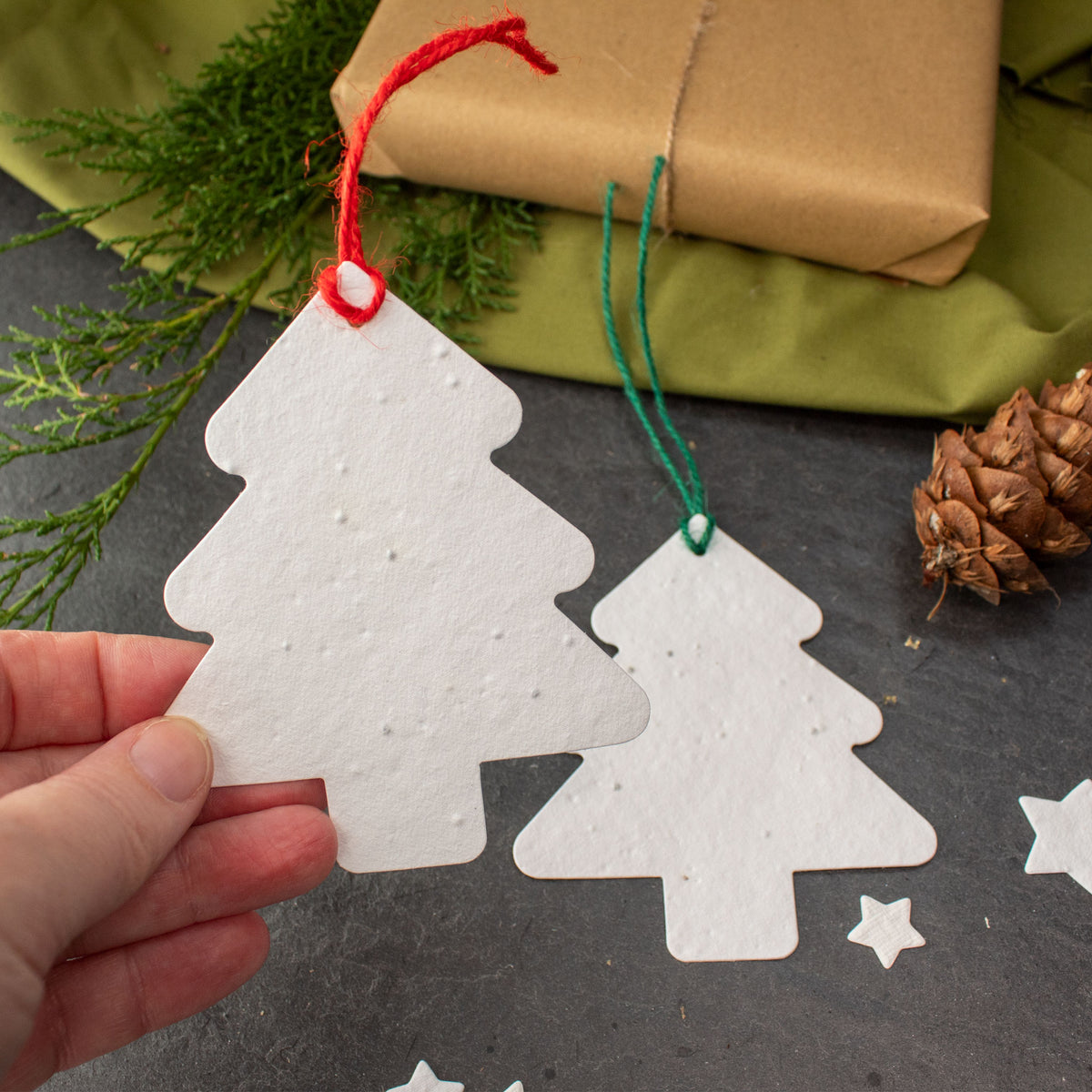 Plantable Gift Tag - Christmas Tree Shape - Set Of 6