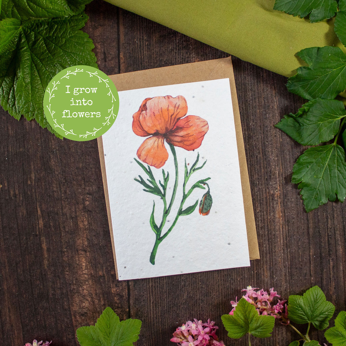 Plantable Greetings Card - Poppy