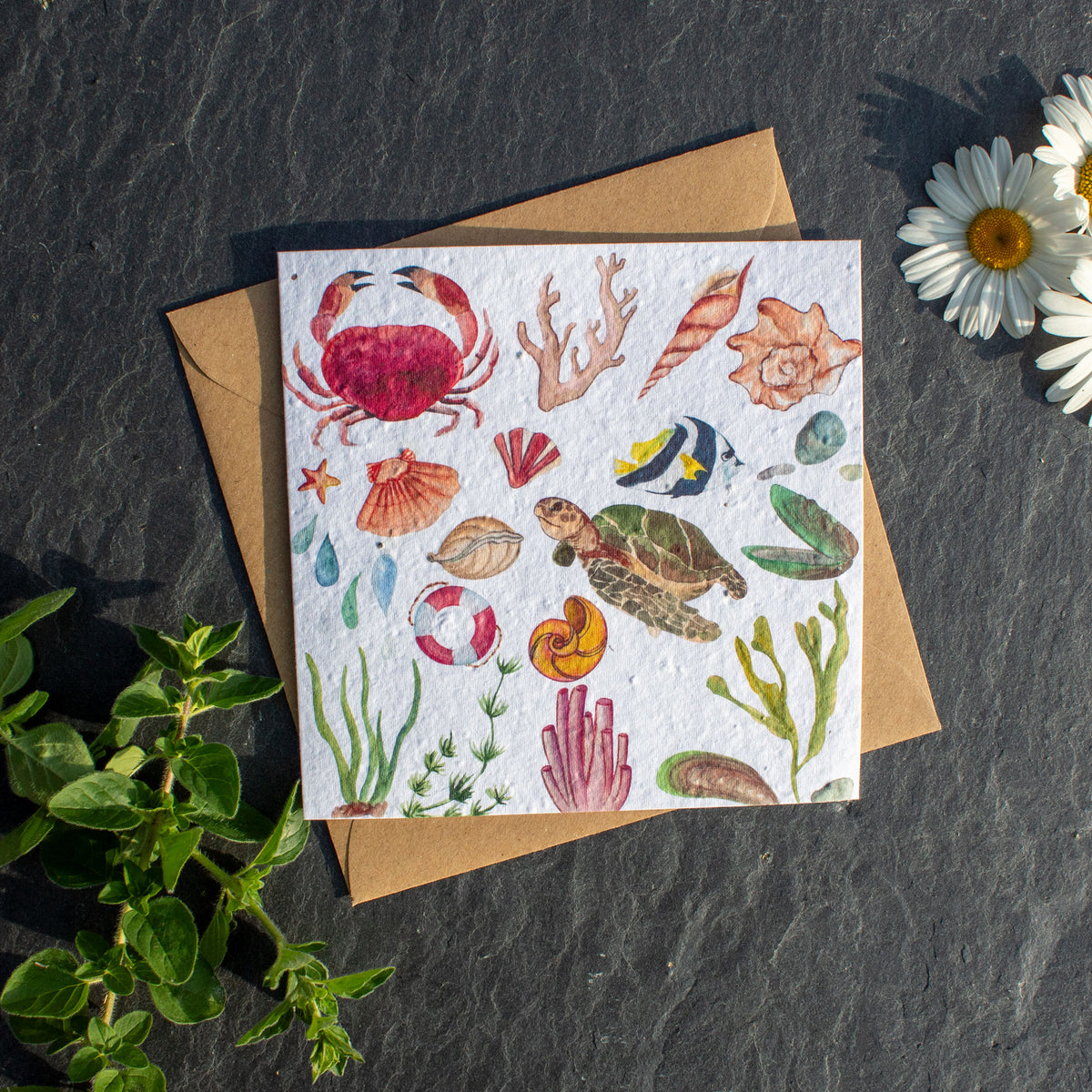 Plantable Greetings Card - Rock Pool Animals
