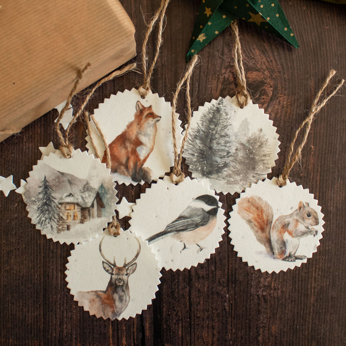 Plantable Gift Tags - Winter Scenes - Set Of 6 | Gift Tag - The Naughty Shrew