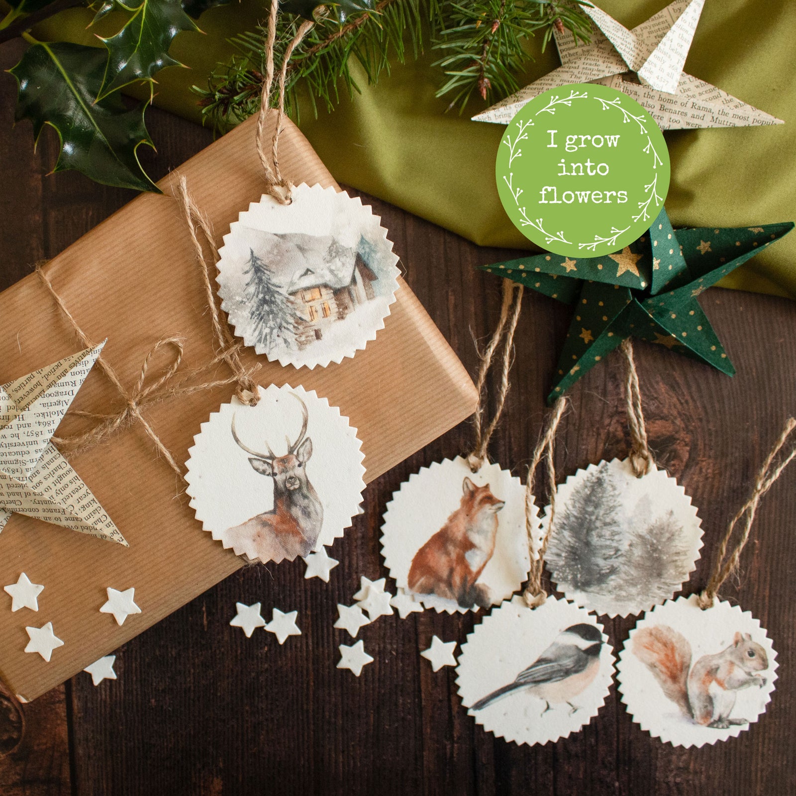 Plantable Gift Tags - Winter Scenes - Set Of 6 | Gift Tag - The Naughty Shrew