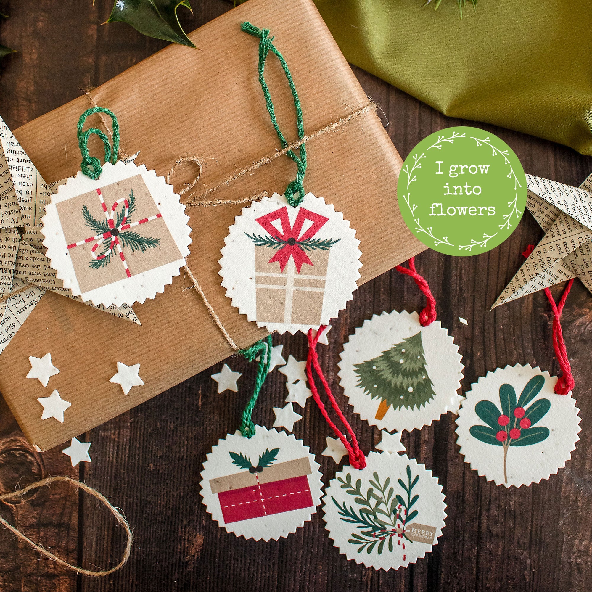 Plantable Gift Tags - Presents & Greenery - Set Of 6 | Gift Tag - The Naughty Shrew