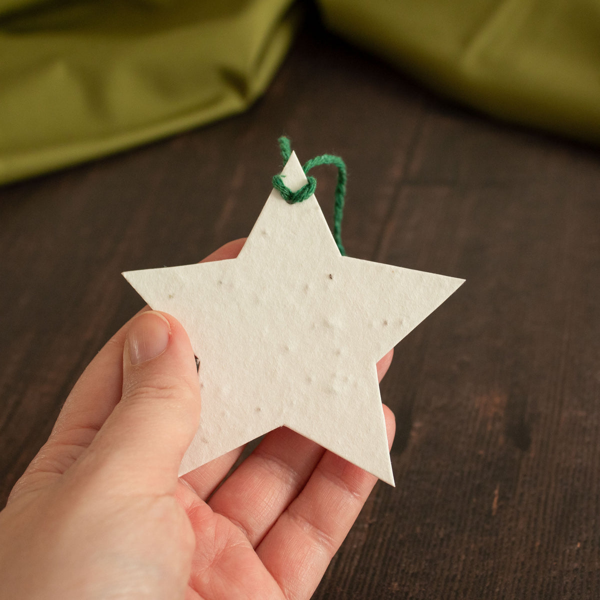 Plantable Gift Tag - Star Shape - Set Of 6 | Gift Tag - The Naughty Shrew