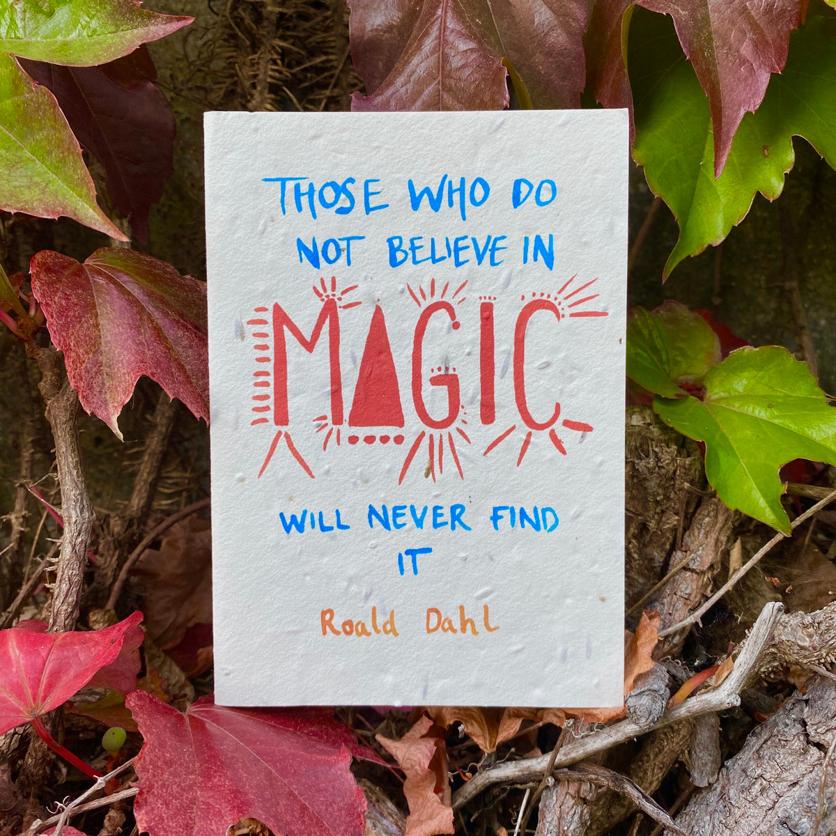 Believe In Magic - Plantable Wildflower Card | Greetings Card - The Naughty Shrew