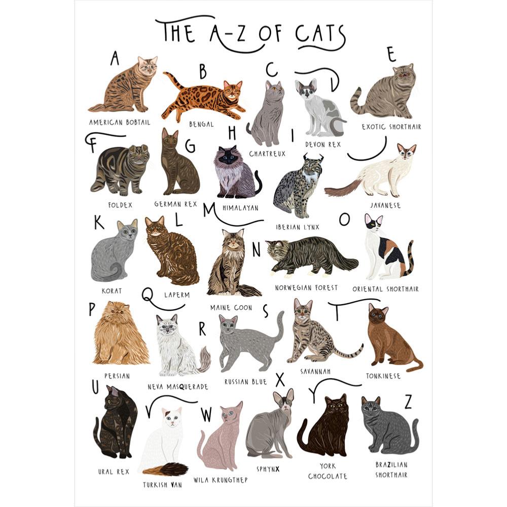 Greetings Card - The A-Z Of Cats | Greetings Card - The Naughty Shrew
