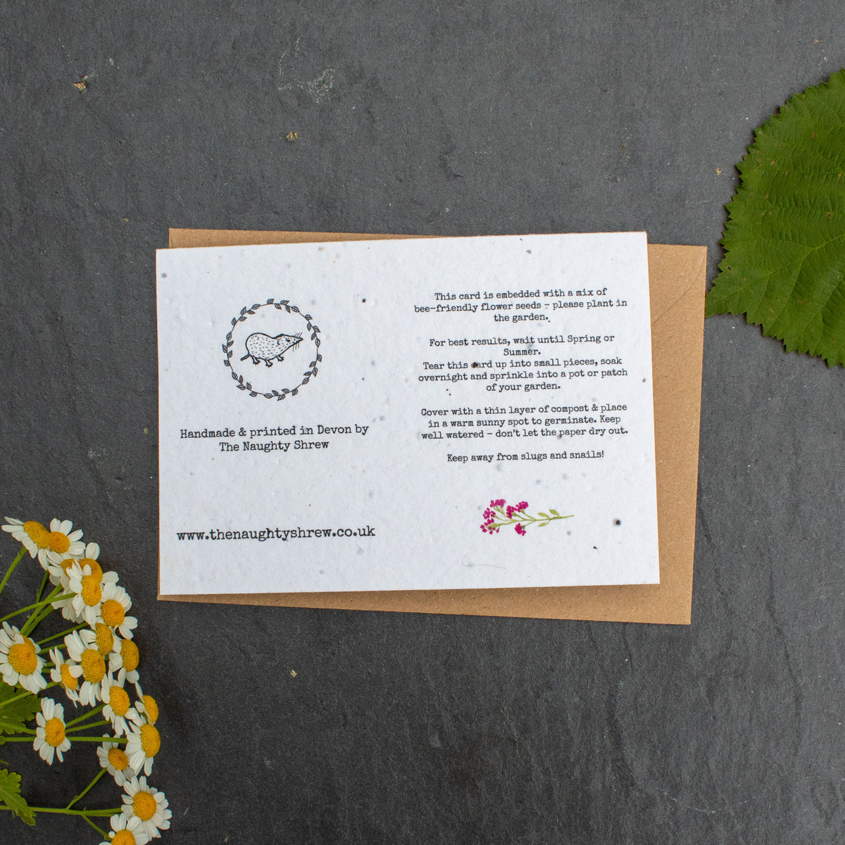 Plantable Card - Thank You Teacher | Greetings Card - The Naughty Shrew