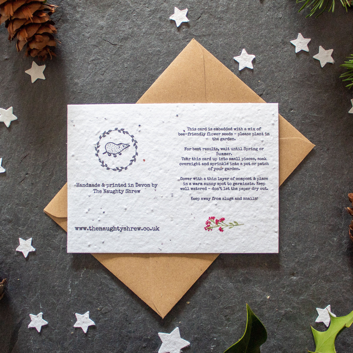 Plantable Christmas Card - Merry Christmas | Greetings Card - The Naughty Shrew