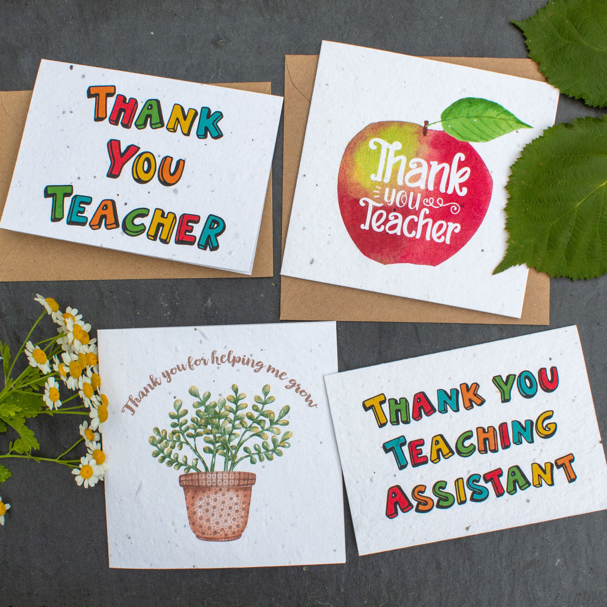 Plantable Card - Thank You For Helping Me Grow | Greetings Card - The Naughty Shrew
