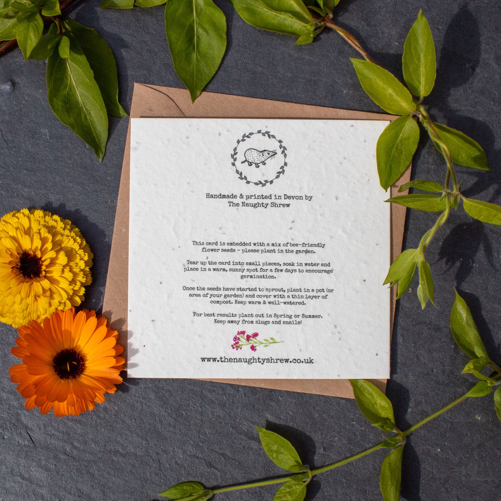 Plantable Greetings Card - Tulips & Watering Can | Greetings Card - The Naughty Shrew