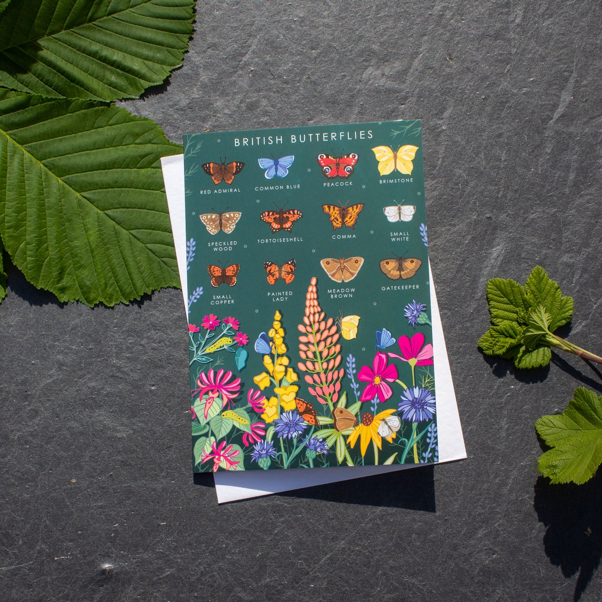 Greetings Card - British Butterflies | Greetings Card - The Naughty Shrew