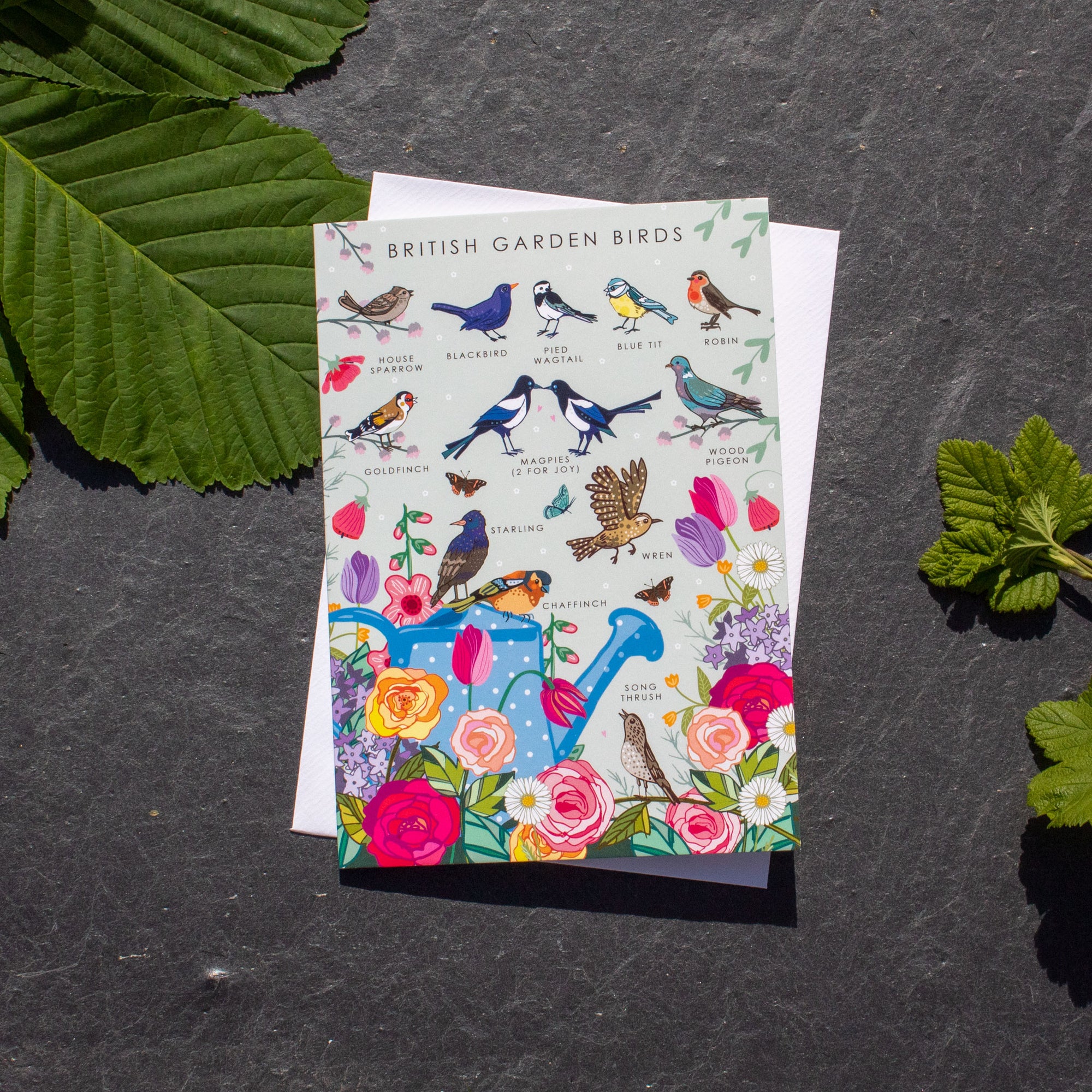 Greetings Card - British Garden Birds | Greetings Card - The Naughty Shrew