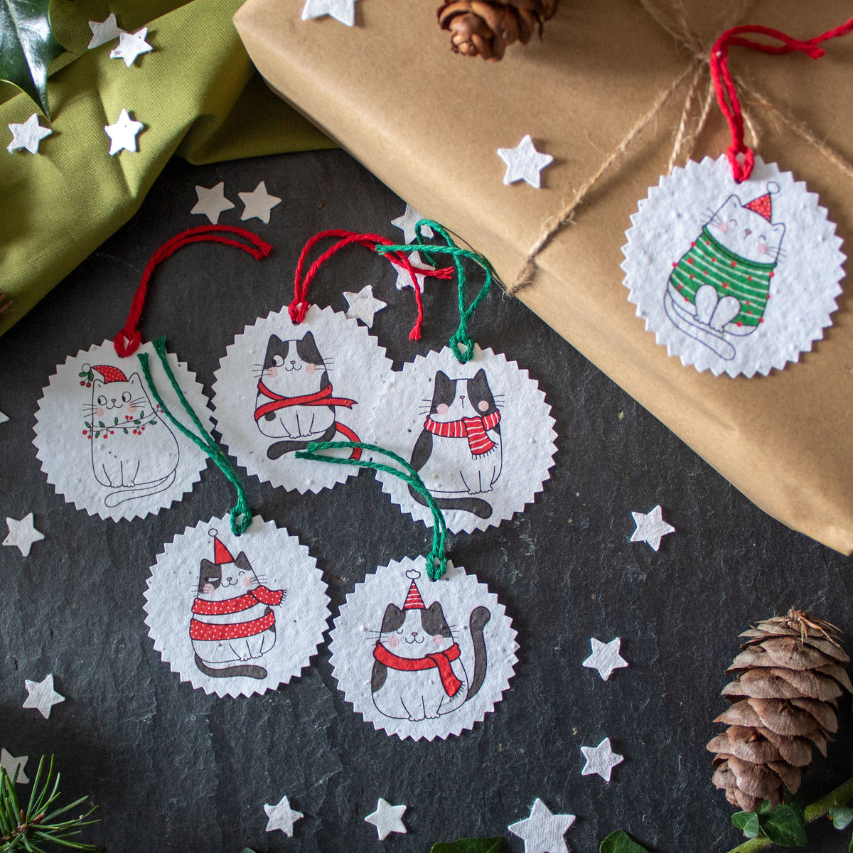 Plantable Gift Tags - Christmas Cats - Set Of 6 | Gift Tag - The Naughty Shrew