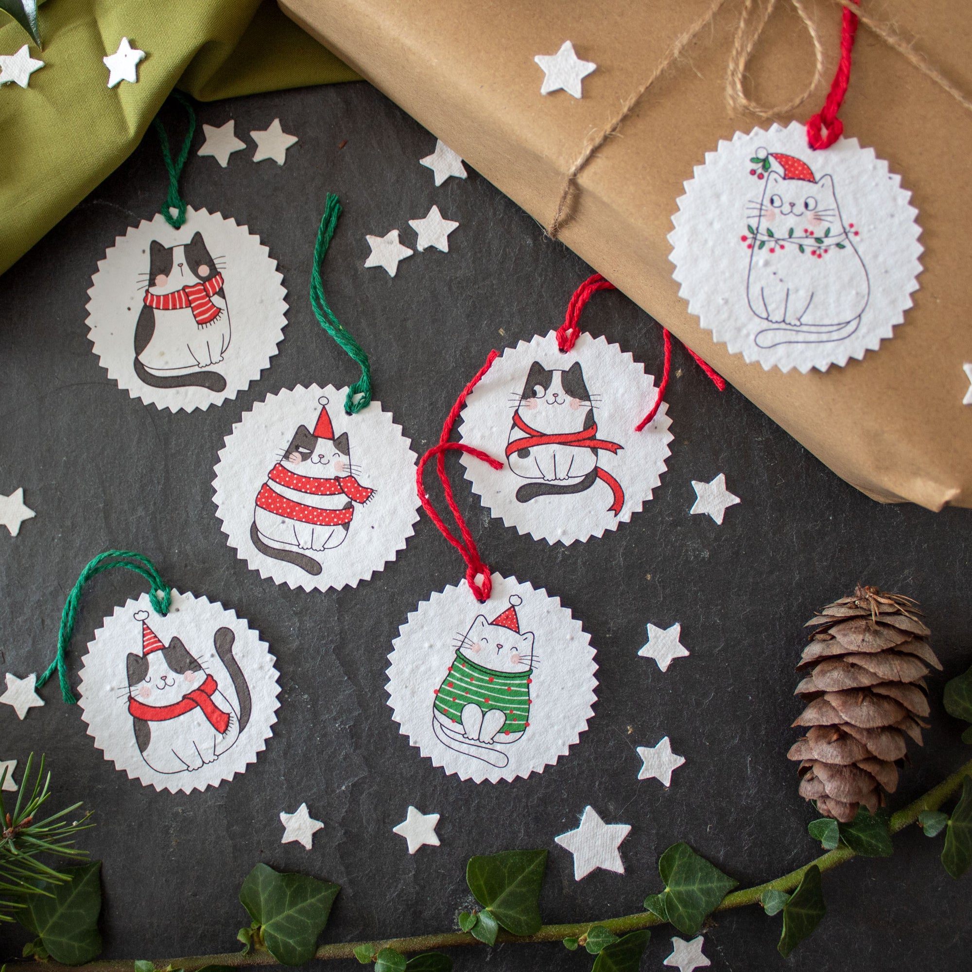 Plantable Gift Tags - Christmas Cats - Set Of 6 | Gift Tag - The Naughty Shrew