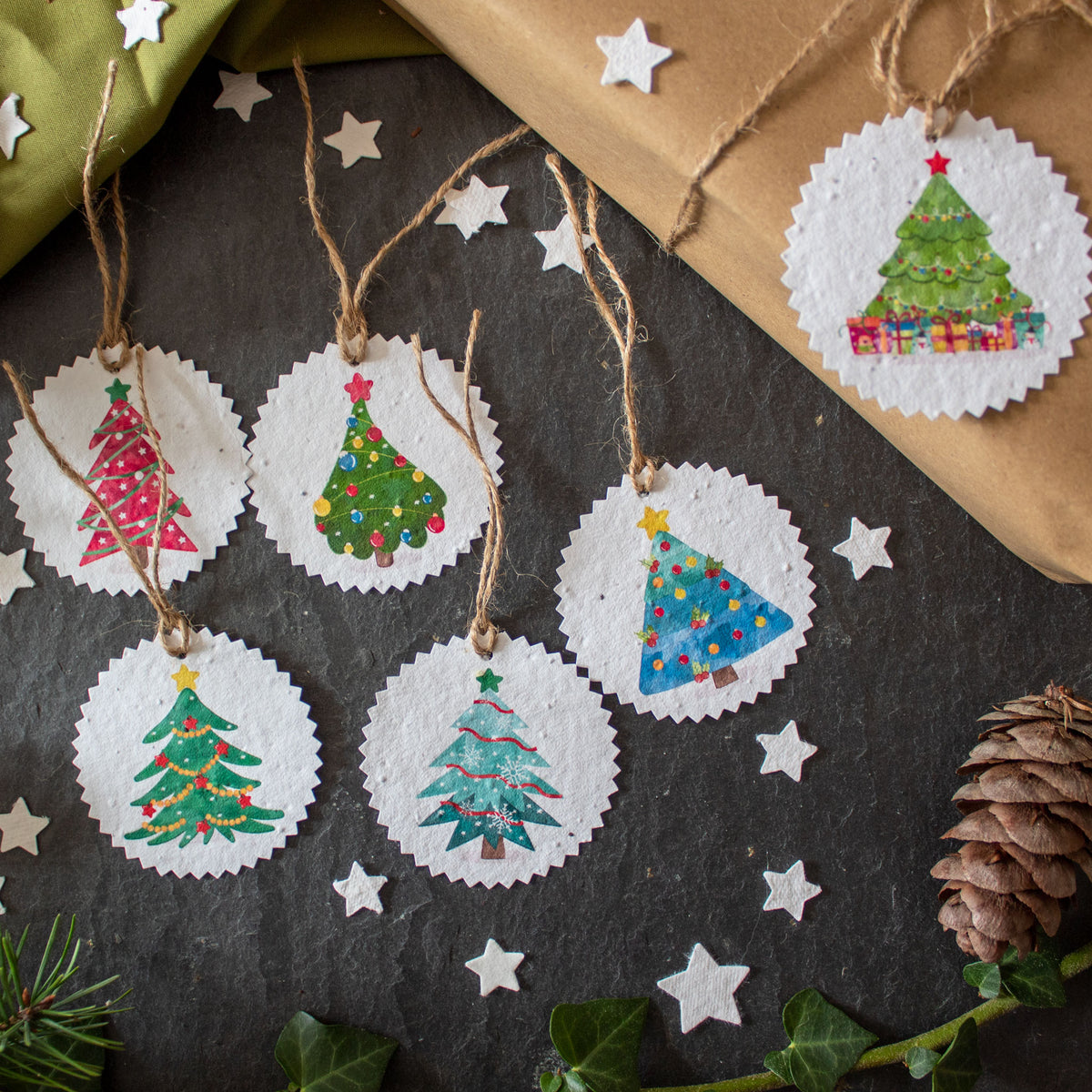 Plantable Gift Tags - Colourful Christmas Trees - Set Of 6 | Gift Tag - The Naughty Shrew