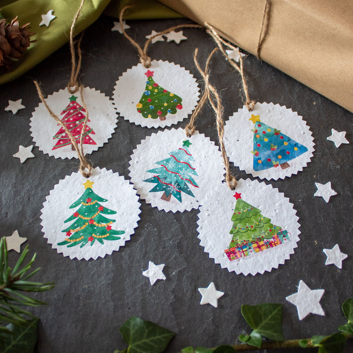 Plantable Gift Tags - Colourful Christmas Trees - Set Of 6 | Gift Tag - The Naughty Shrew