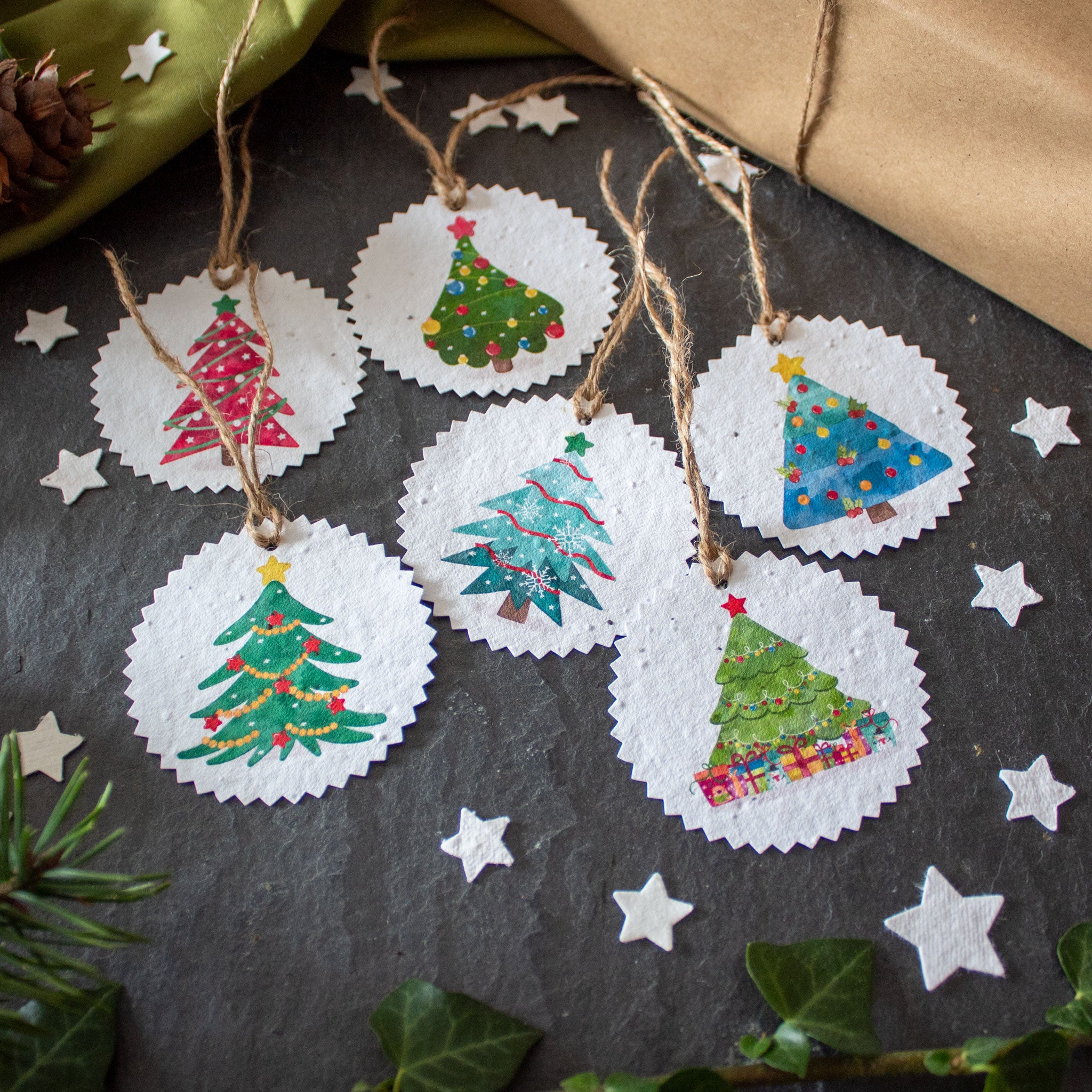Plantable Gift Tags - Colourful Christmas Trees - Set Of 6 - The ...