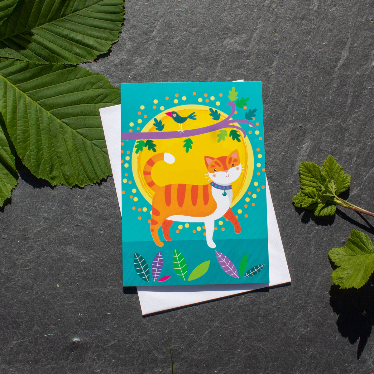 Greetings Card - Colourful Cat | Greetings Card - The Naughty Shrew