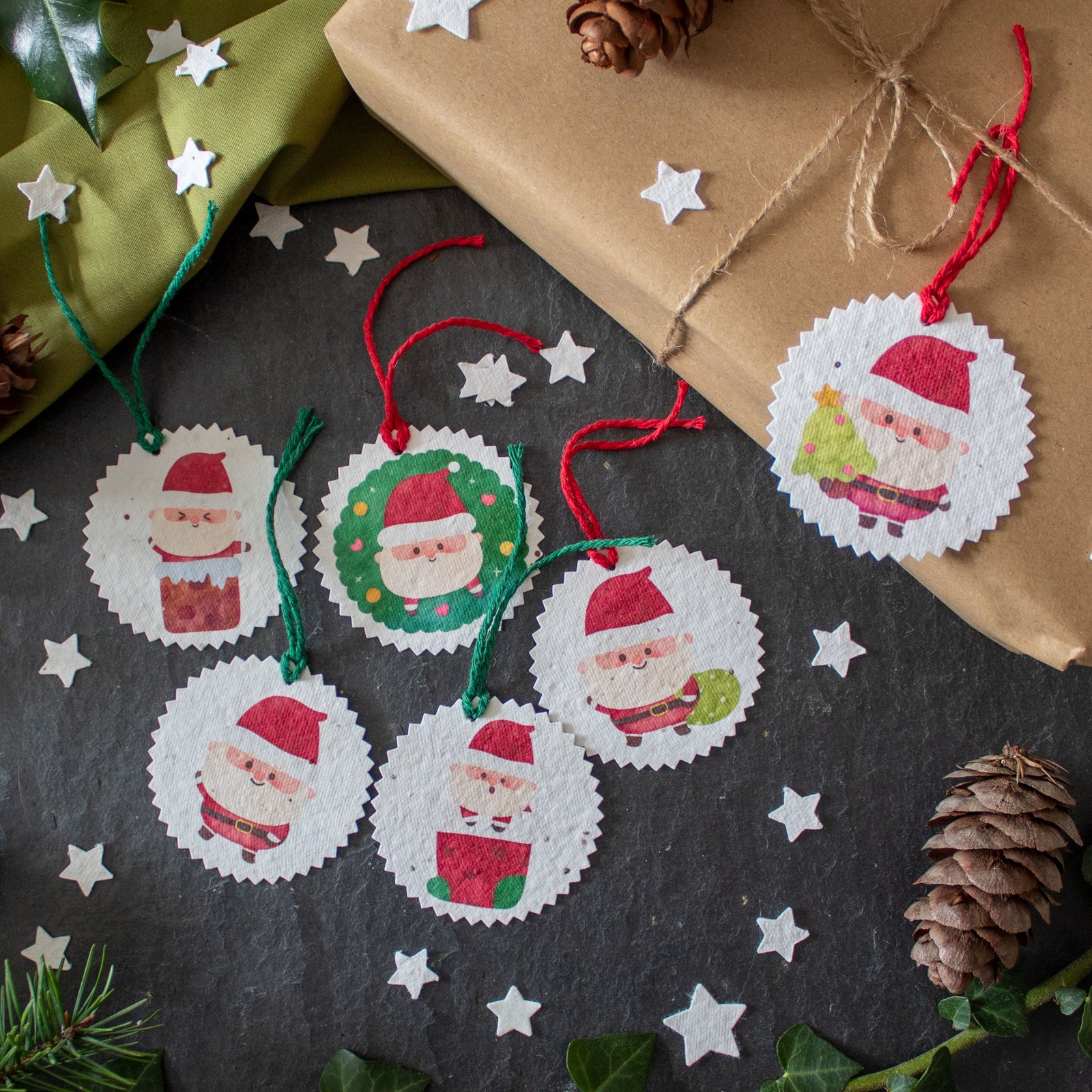 Plantable Gift Tags - Father Christmas - Set Of 6 | Gift Tag - The Naughty Shrew