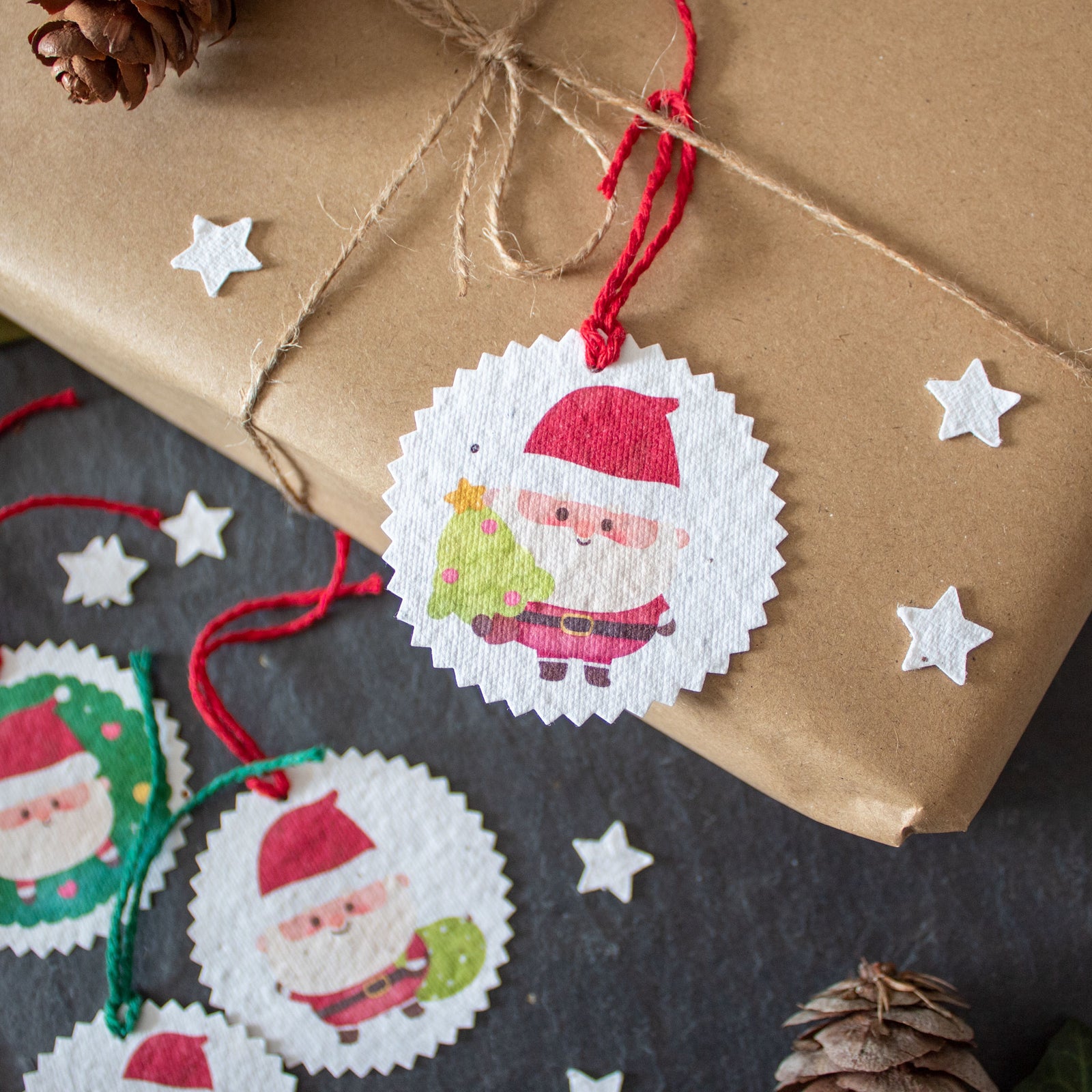 Plantable Gift Tags - Father Christmas - Set Of 6 | Gift Tag - The Naughty Shrew