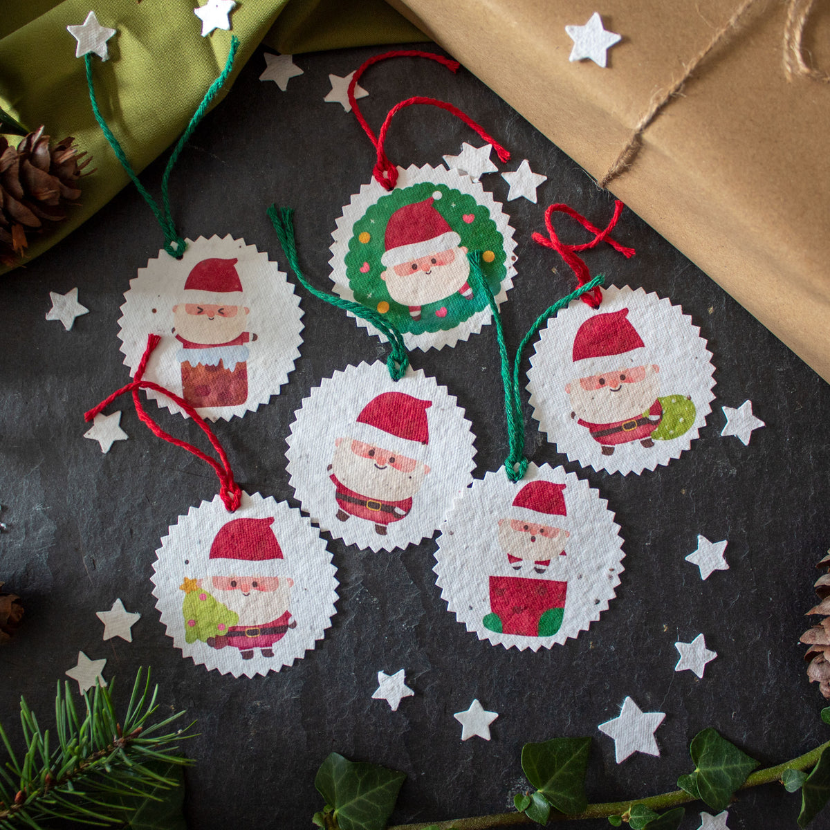 Plantable Gift Tags - Father Christmas - Set Of 6 | Gift Tag - The Naughty Shrew