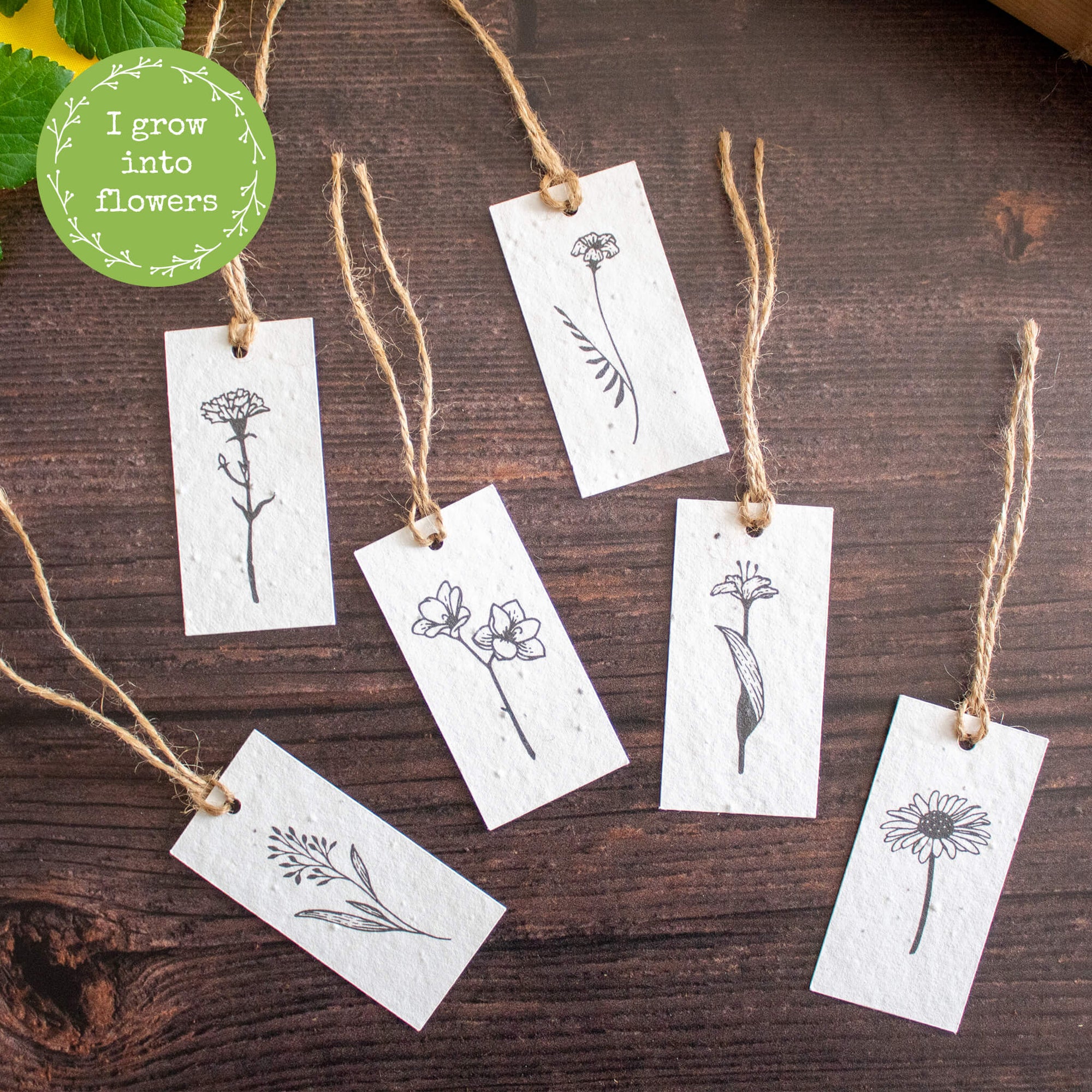 Plantable Gift Tag - Flower Design - Set Of 6 | Gift Tag - The Naughty Shrew