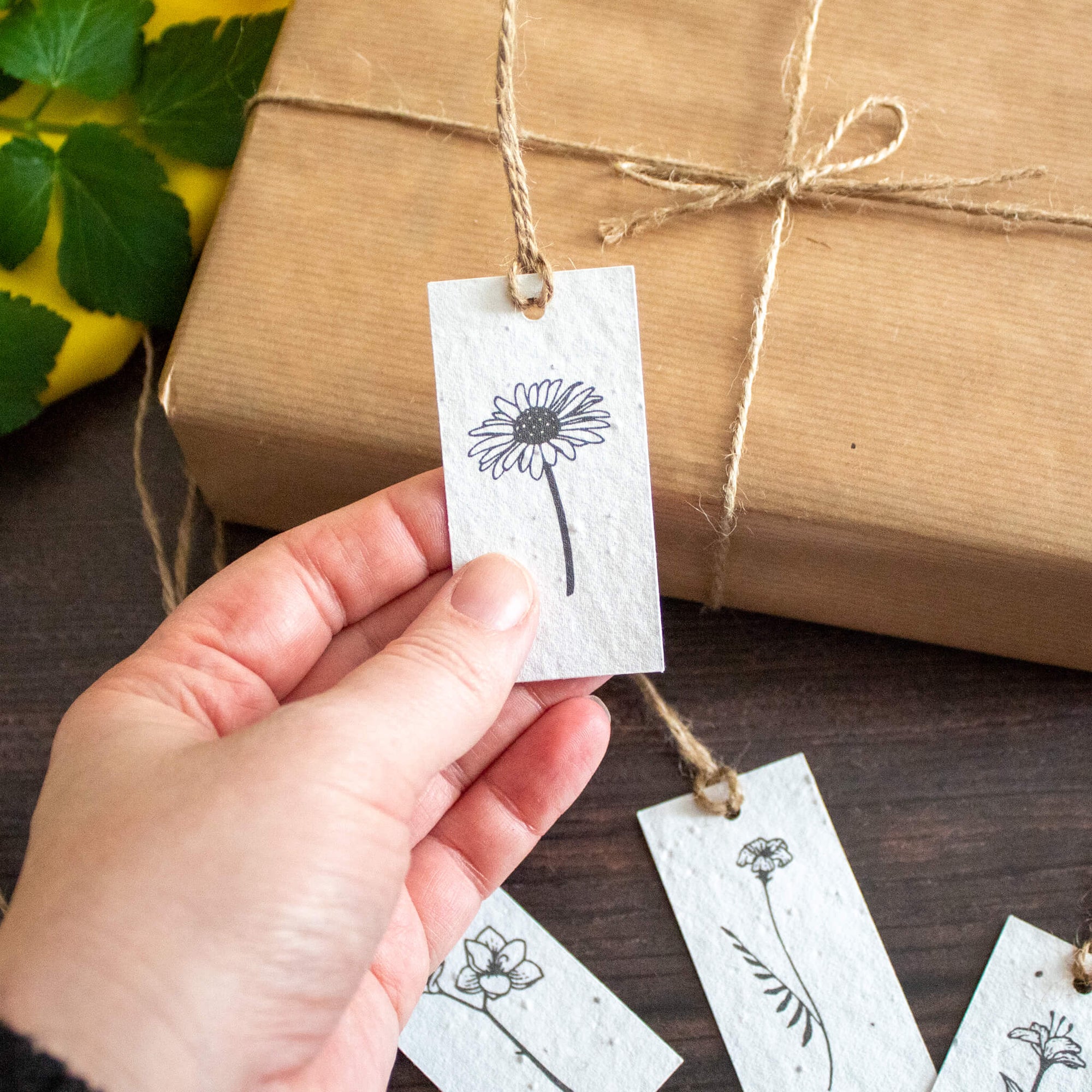Plantable Gift Tag - Flower Design - Set Of 6 | Gift Tag - The Naughty Shrew