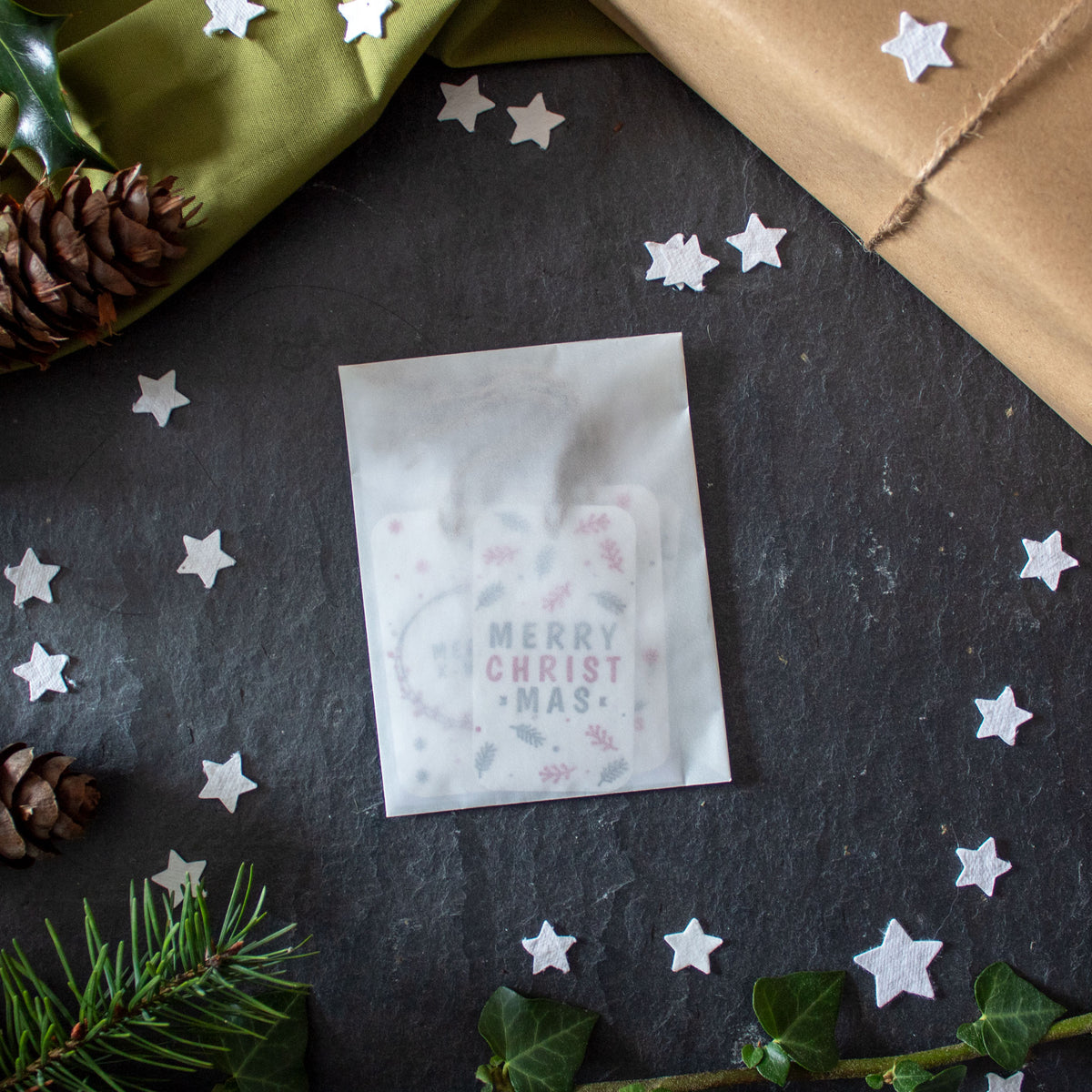 Plantable Gift Tags - Christmas Tags - Set Of 6 | Gift Tag - The Naughty Shrew