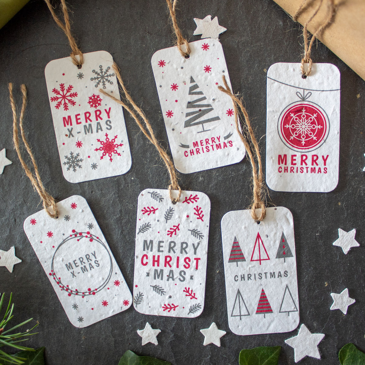 Plantable Gift Tags - Christmas Tags - Set Of 6 | Gift Tag - The Naughty Shrew