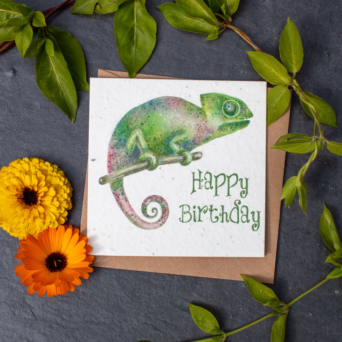 Plantable Birthday Day Card - Chameleon | Greetings Card - The Naughty Shrew