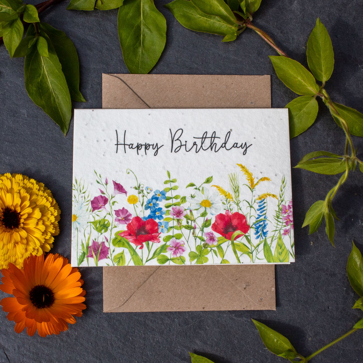 Plantable Birthday Card - Wildflower Meadow | Greetings Card - The Naughty Shrew