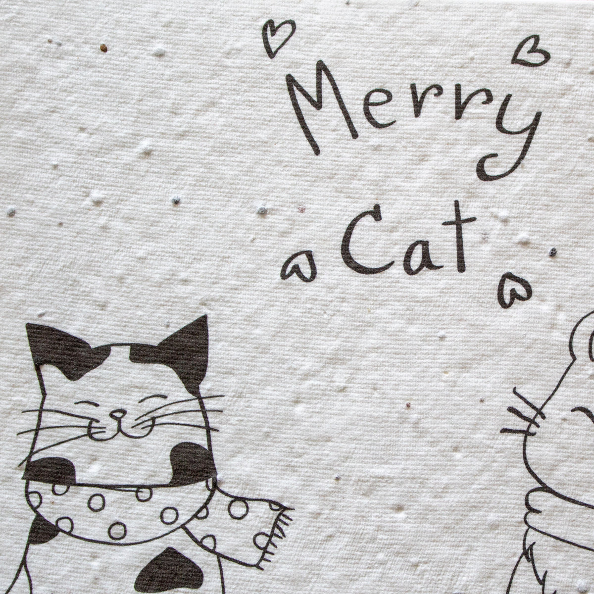 Plantable Christmas Card - Merry Cat | Greetings Card - The Naughty Shrew