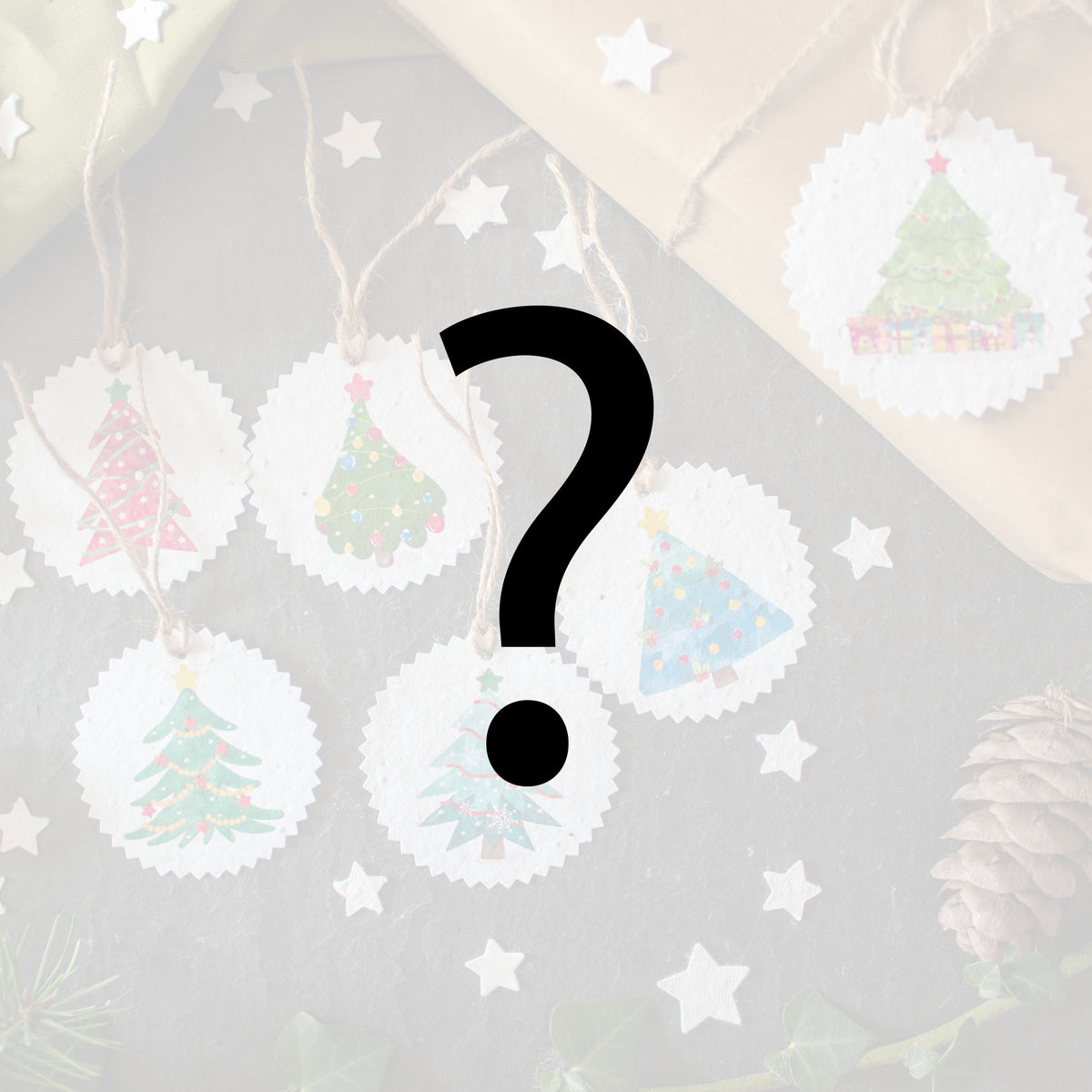Mystery Tags - Plantable Gift Tags - Set Of 6 | Gift Tag - The Naughty Shrew