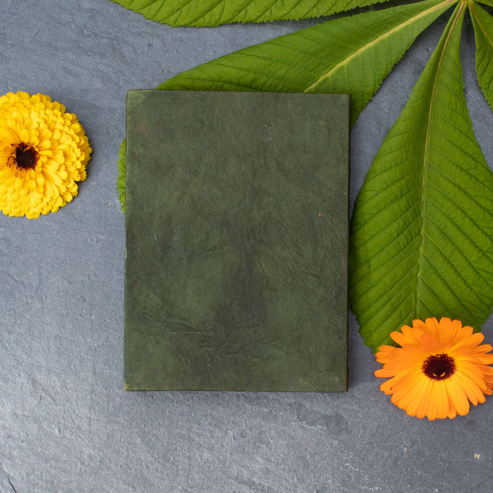 Mudhubani Fish Notepad With Lokta Paper Pages - Green | Notepad - The Naughty Shrew