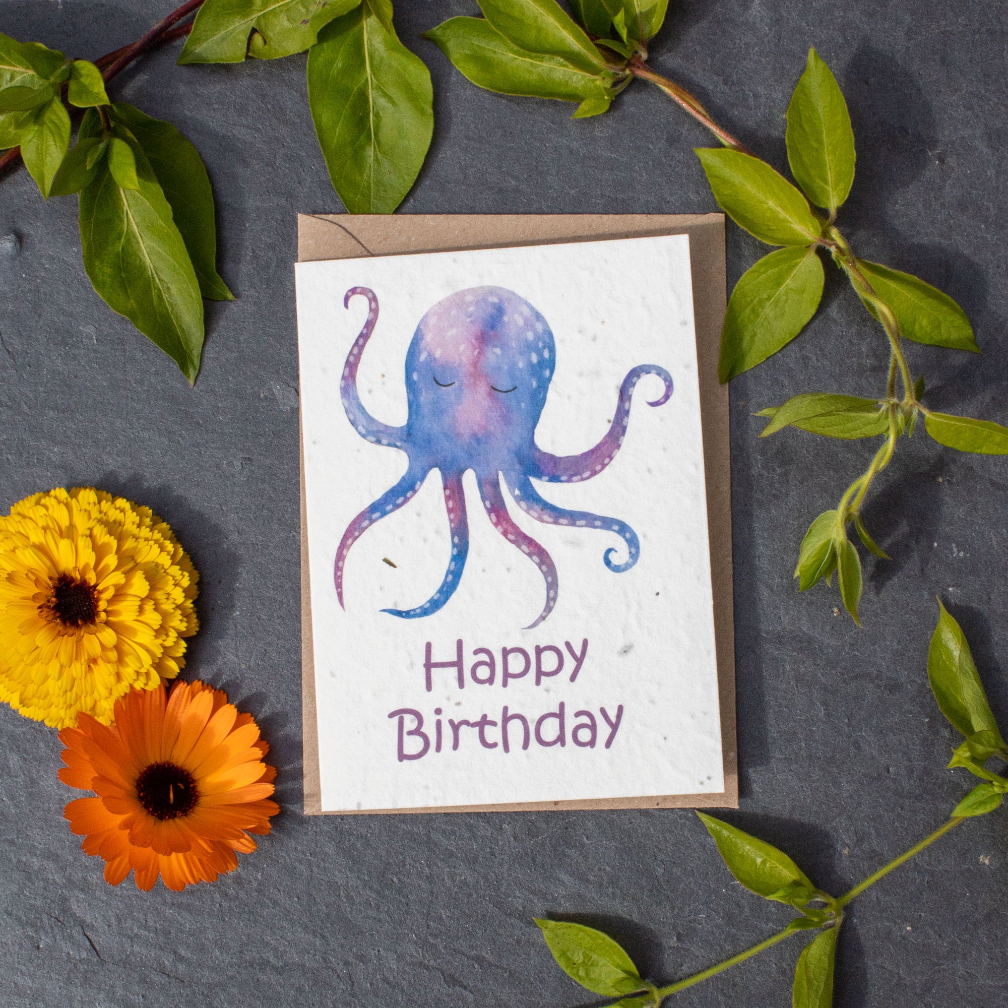 Plantable Birthday Card - Happy Birthday Octopus | Greetings Card - The Naughty Shrew