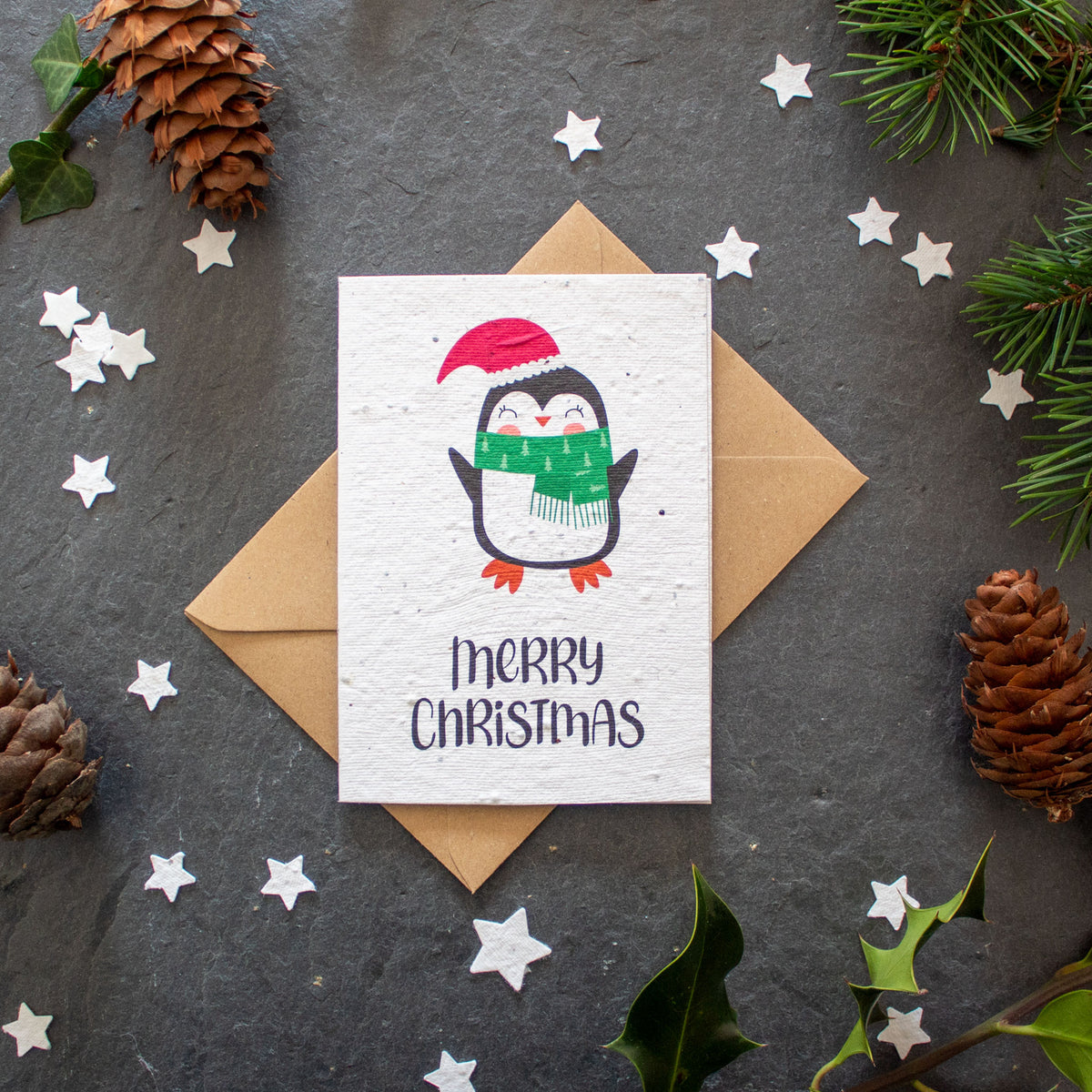 Plantable Christmas Card - Christmas Penguin | Greetings Card - The Naughty Shrew
