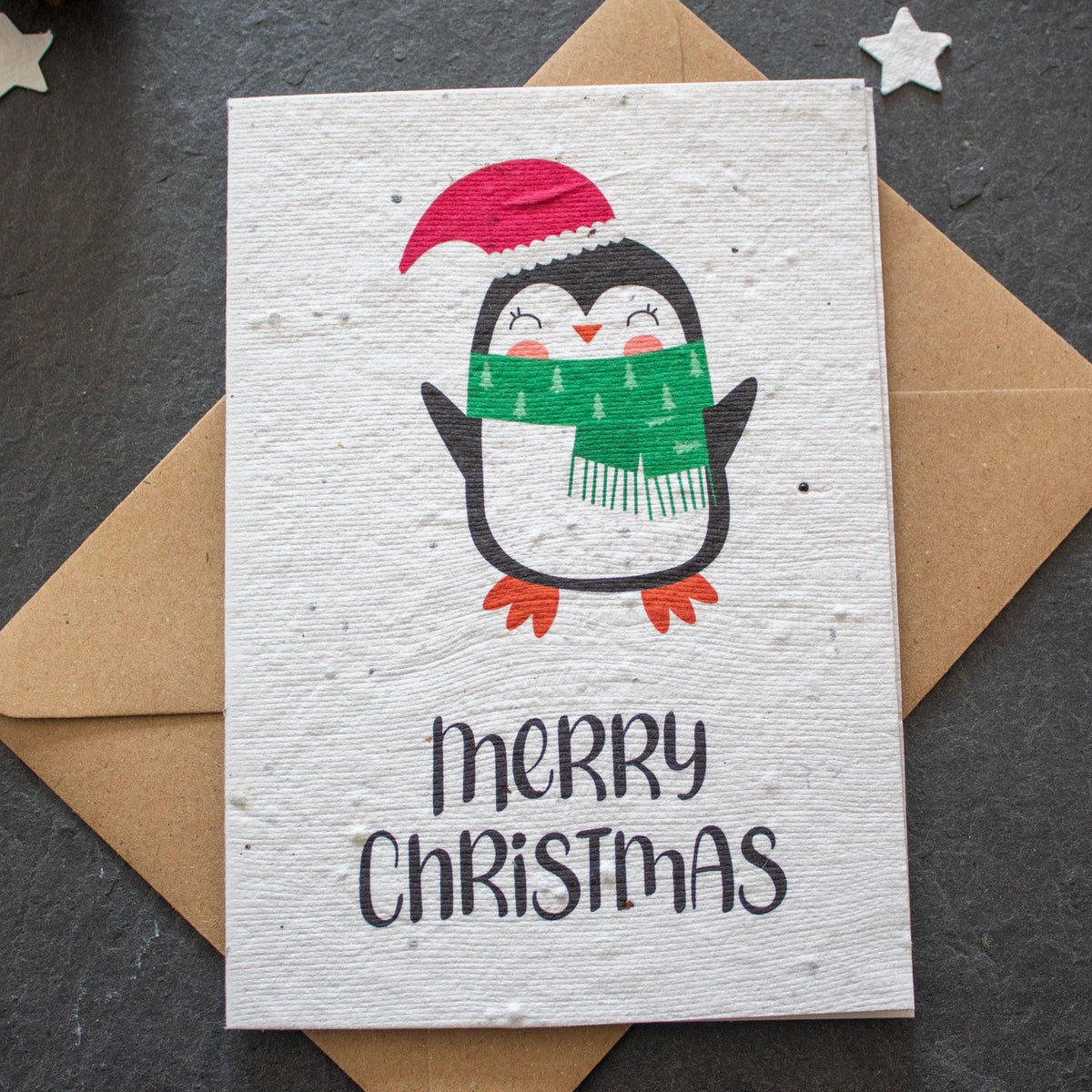 Plantable Christmas Card - Christmas Penguin | Greetings Card - The Naughty Shrew