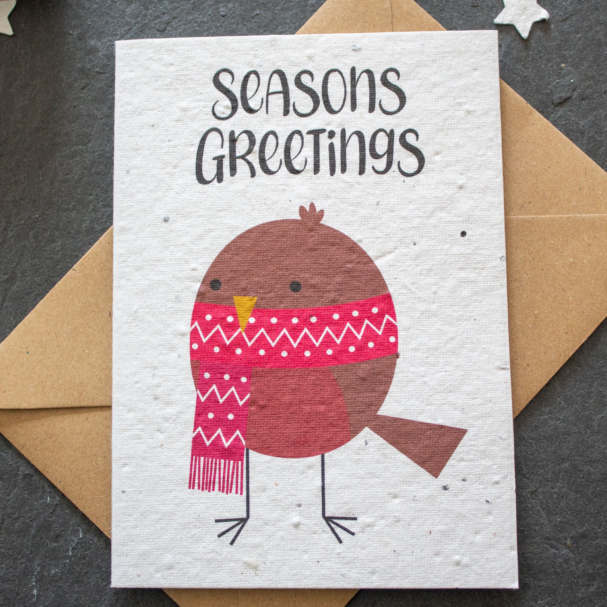 Plantable Christmas Card - Robin | Greetings Card - The Naughty Shrew
